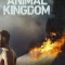 Animal Kingdom Season 2 2017 ซับไทย
