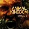 Animal Kingdom Season 3 2018 ซับไทย