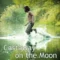 Castaway on the Moon 2009 ซับไทย