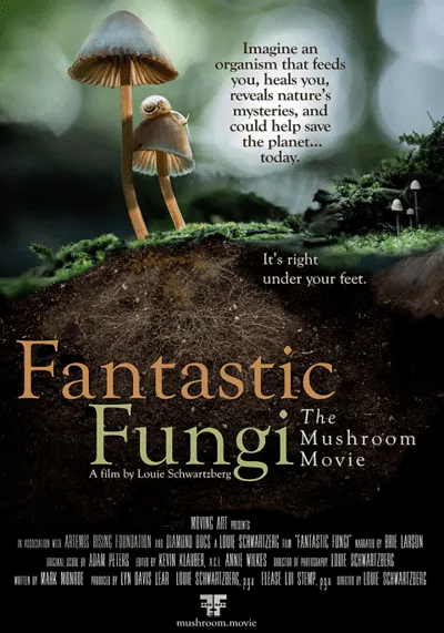Fantastic-Fungi-เห็ดมหัศจรรย์-(2019)