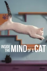 INSIDE THE MIND OF A CAT คิดแบบแมวๆ 2022
