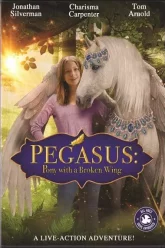 Pegasus-Pony-with-a-Broke-Wing-เพกาซัสโพนี่ปีกหัก-2019
