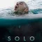 SOLO โซโล่ สู้เฮือกสุดท้าย 2018 ซับไทย
