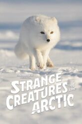 Strange Creatures of the Arctic 2022 ซับไทย