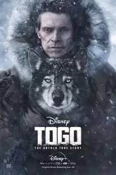 Togo-หมาป่า-โตโก-2019