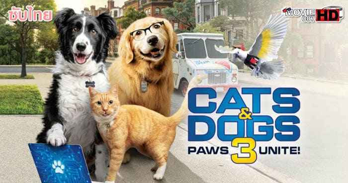 ดูหนัง Cats & Dogs 3 Paws Unite สงครามพยัคฆ์ร้ายขนปุย ภาค 3