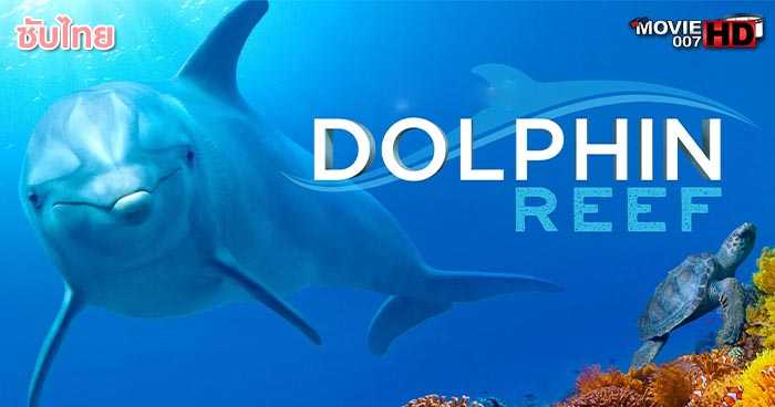 ดูหนัง Diving with Dolphins 2020
