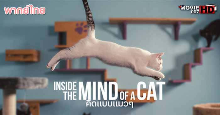 ดูหนัง Inside the Mind of a Cat คิดแบบแมวๆ 