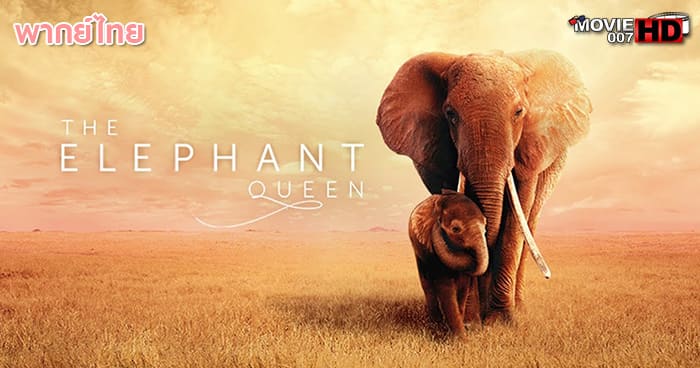 ดูหนัง The Elephant Queen อัศจรรย์ราชินีแห่งช้าง 2019