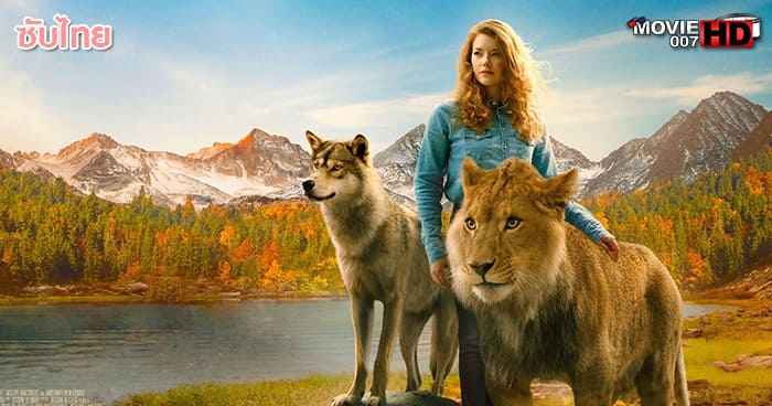 ดูหนัง The Wolf and the Lion